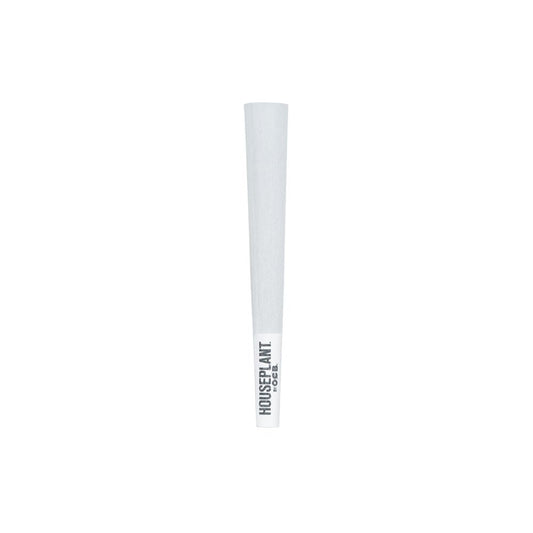 32CT DISPLAY - Houseplant by OCB Cones - Classic / 8pc / Mini - Discreet Smoker