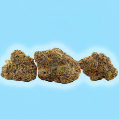 Rainbow Belts - THCa Flower - Indica - Discreet Smoker