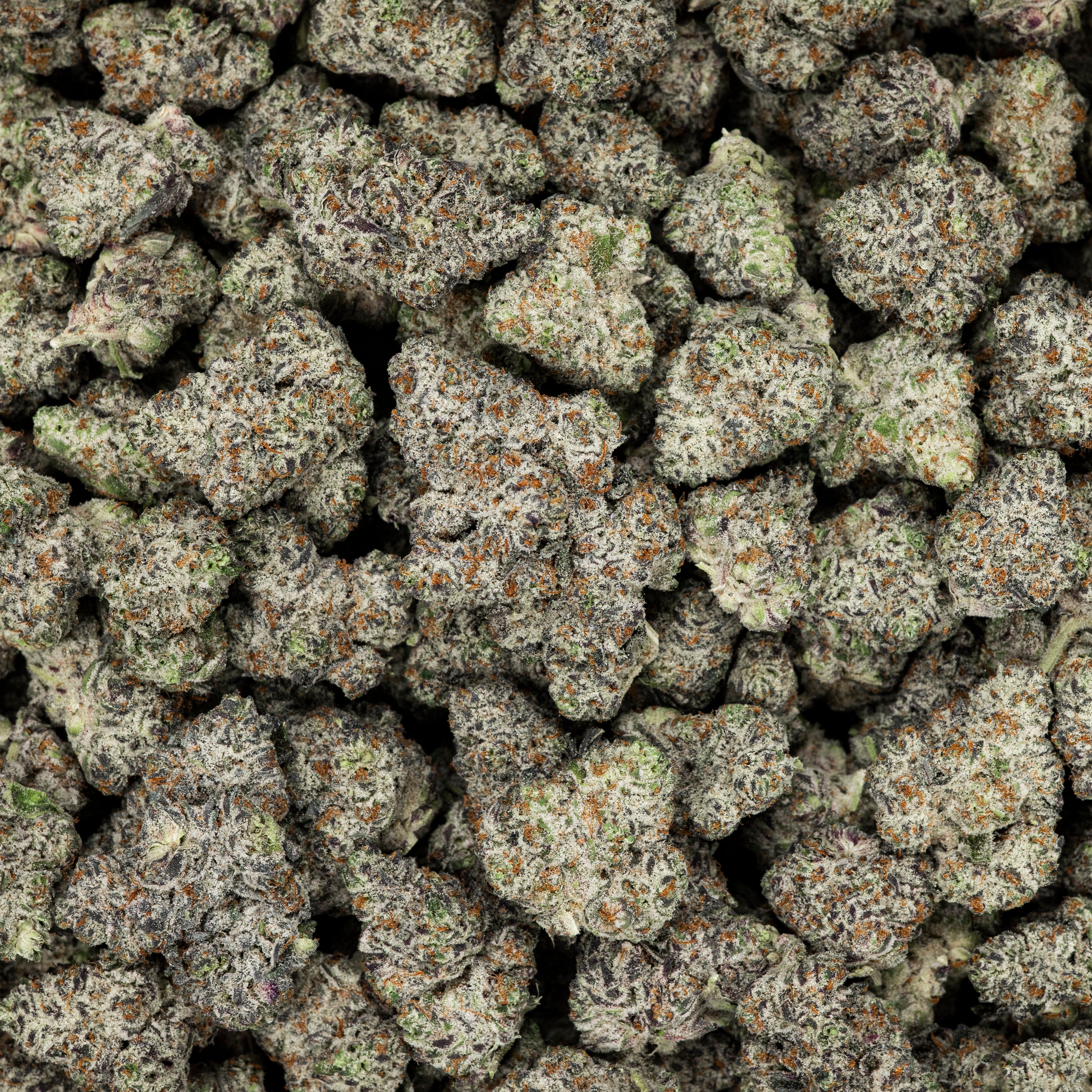 Revelry White Truffle THCA Flower 3.5G - Discreet Smoker