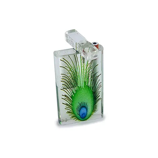 Handmade Acrylic Peacock Dugout w/ One Hitter - Discreet Smoker