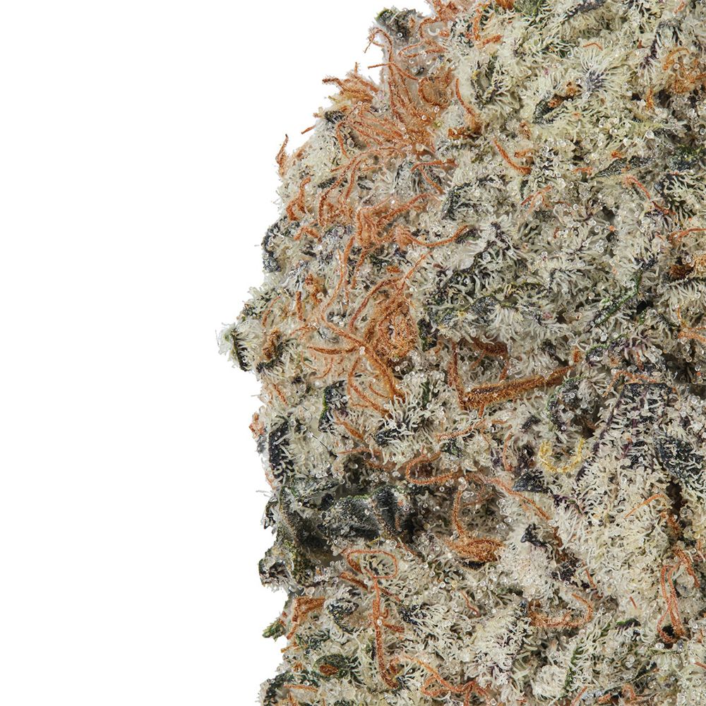 WNC CBD High THCA Indoor Hydro Flower | 3.5g - Discreet Smoker