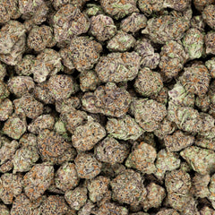 Revelry Blueberry Pancakes THCA Flower 3.5G - Discreet Smoker