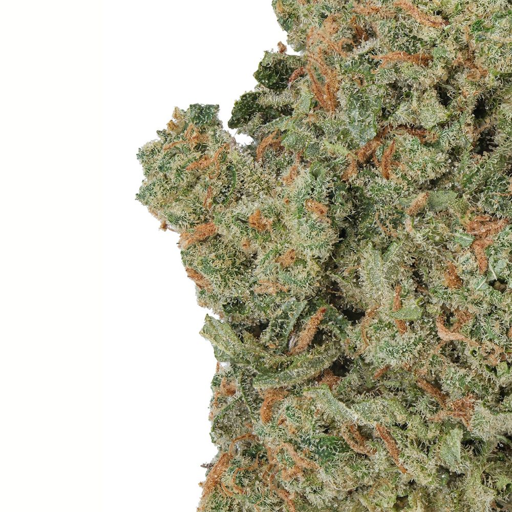 WNC CBD High THCA Indoor Living Soil Flower | 3.5g - Discreet Smoker