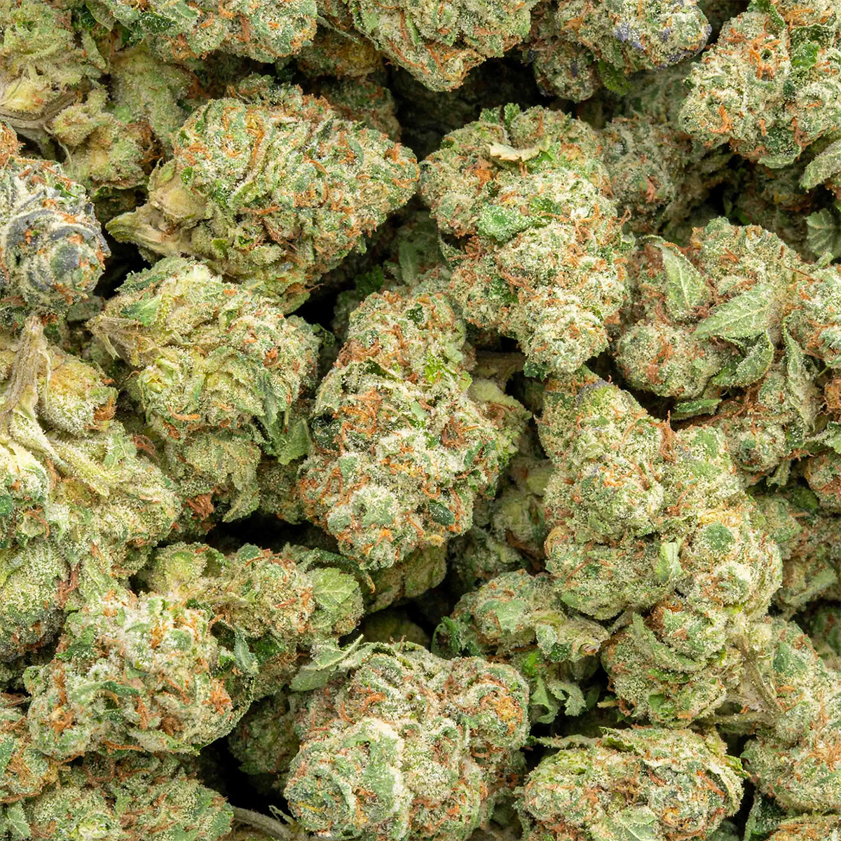 Lemon Cherry Gelato - THCa Flower - Hybrid - Discreet Smoker