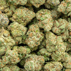 Lemon Cherry Gelato - THCa Flower - Hybrid - Discreet Smoker