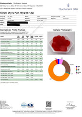 Sin City Delta 9 Gummies - 10 Pack Cherry - Sativa (Strong) - Discreet Smoker